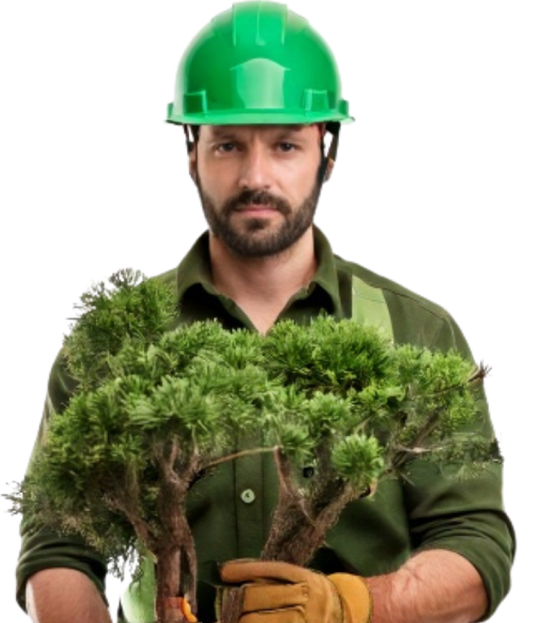 Utah´s Expert Arborists